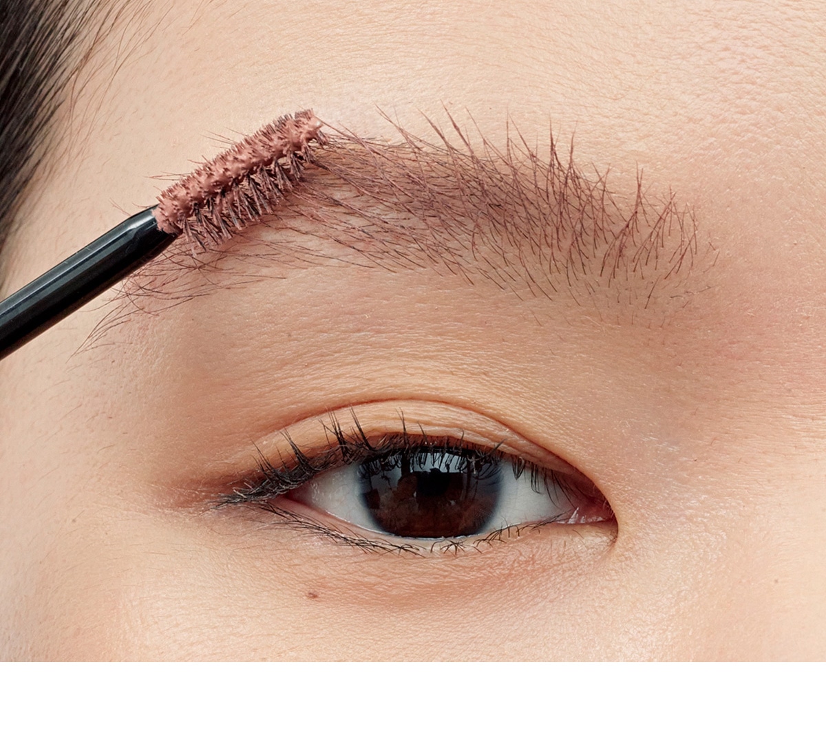 Color Brow 1