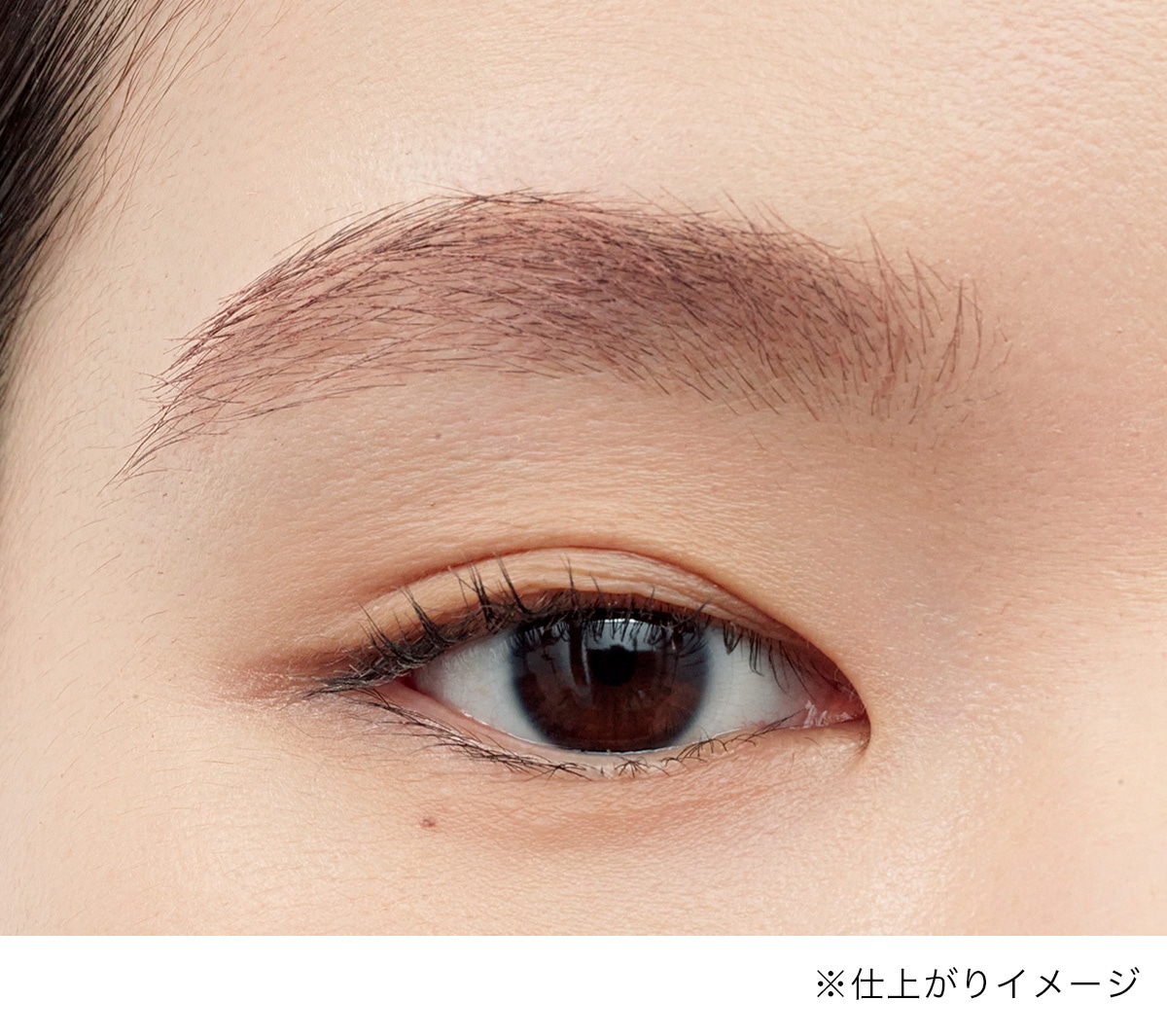 Color Brow 3