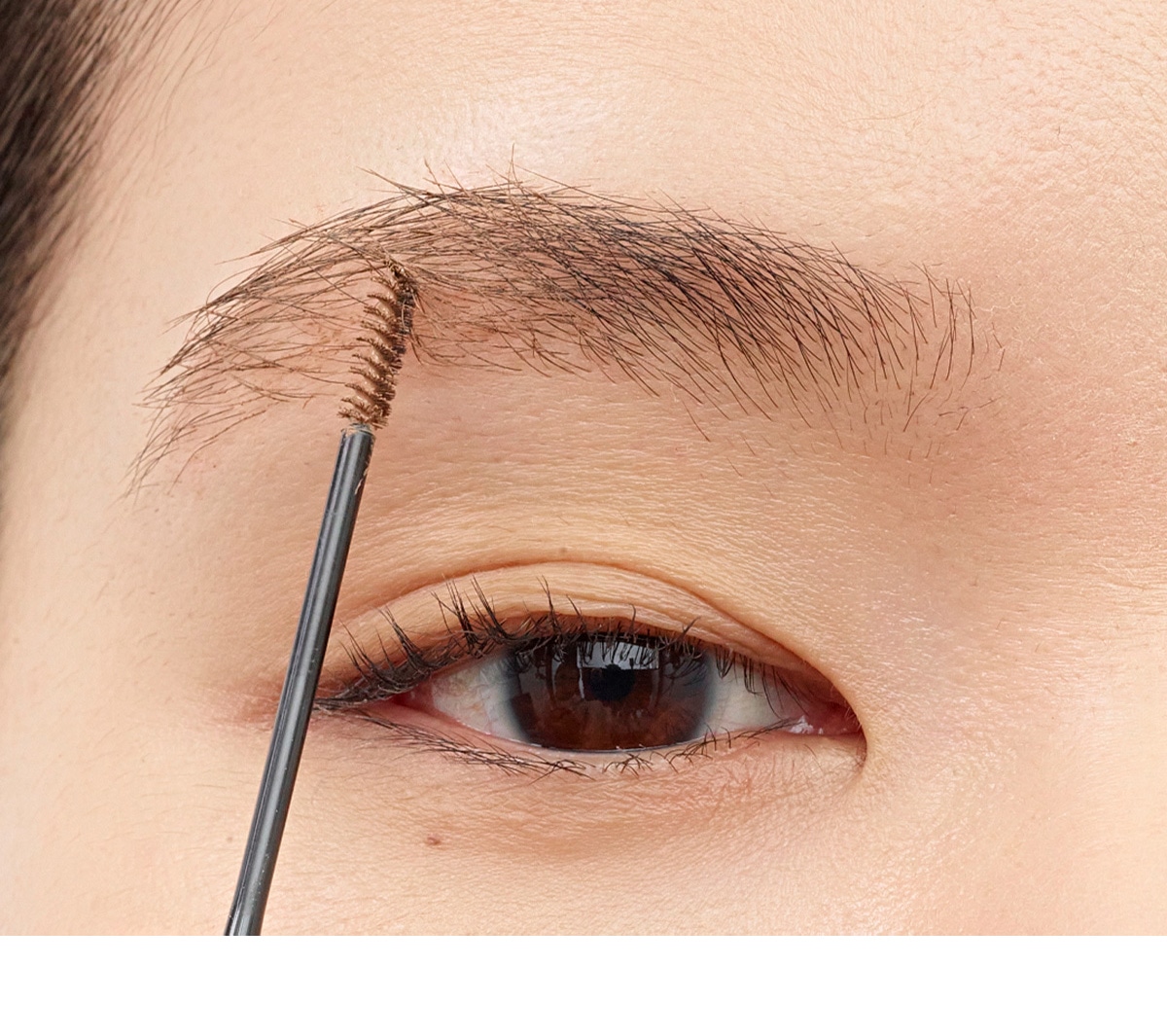 Fresh Brow 1