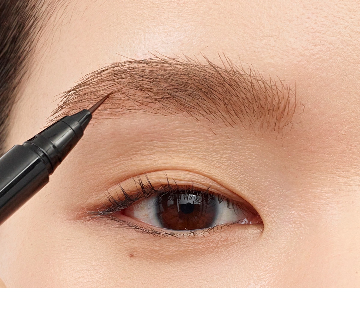 Fresh Brow 2