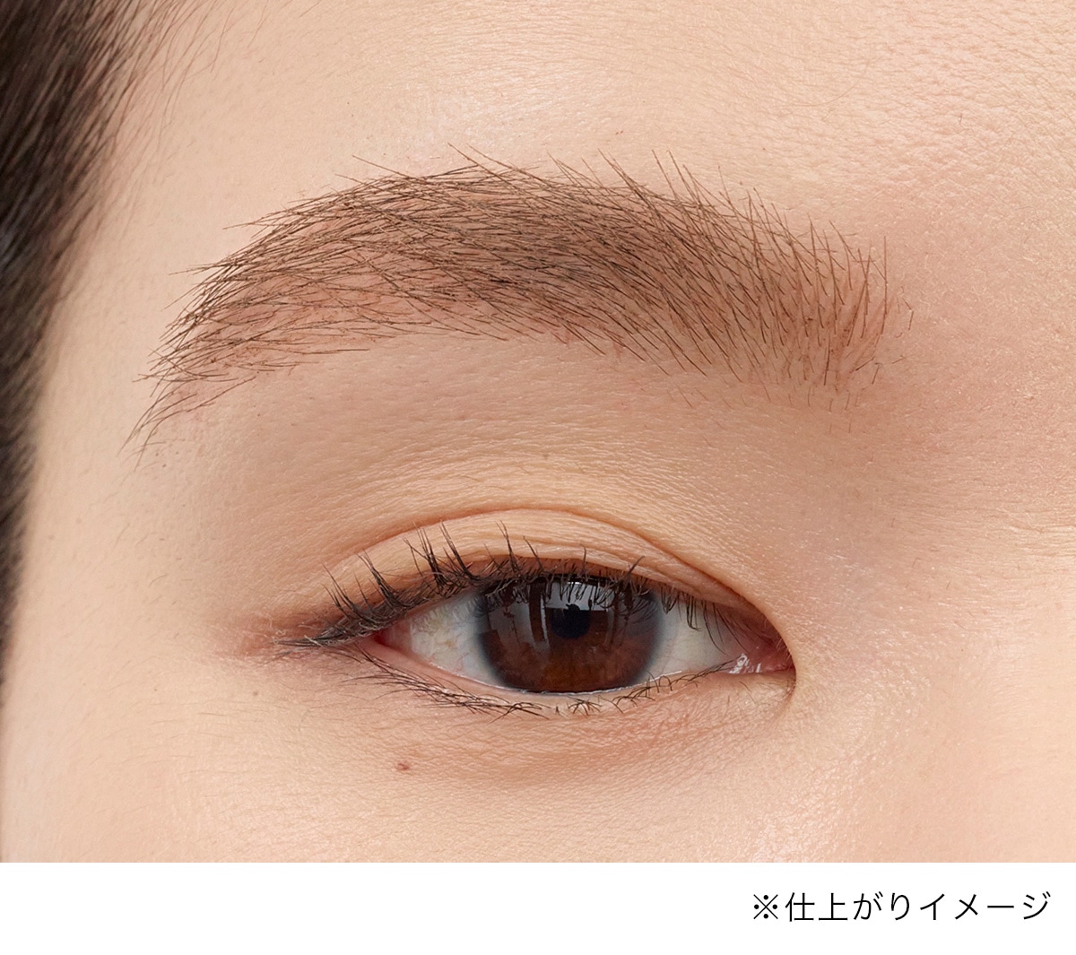 Fresh Brow 3