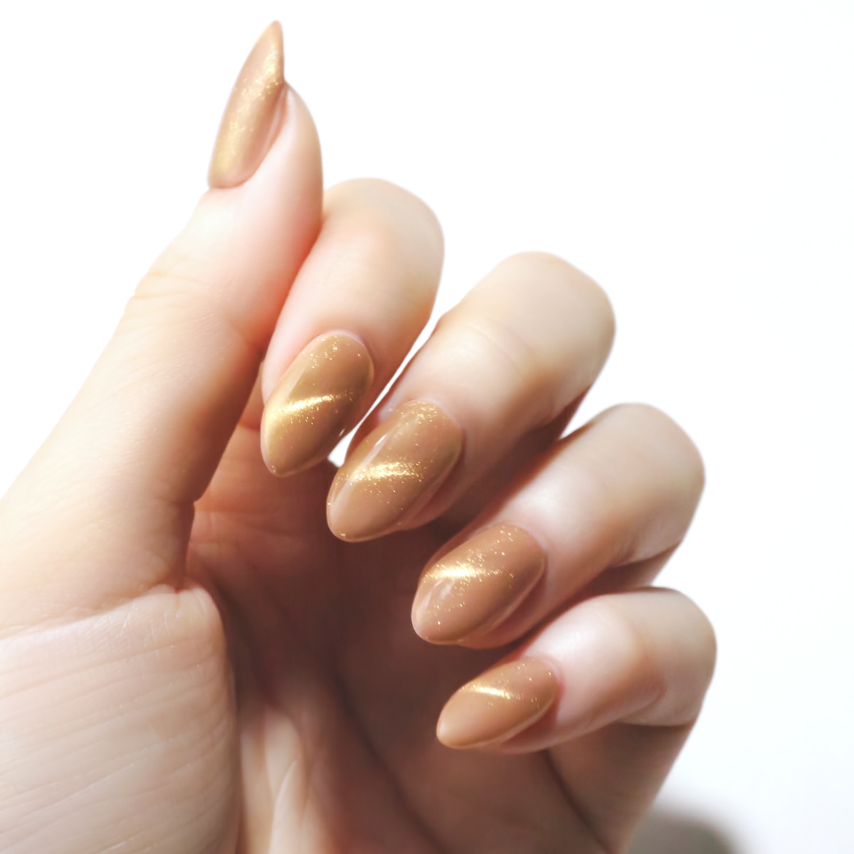 GIFT BOX　"Goldscape" 〈マグネットトップコート＆マグネットスティック〉