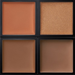 アディクション　スキンリフレクト　フレッシュ コンシーラー