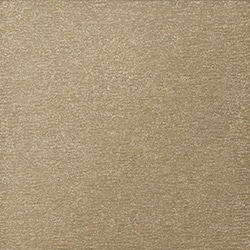 103N Through the Filter スルー ザ フィルター ★限定色