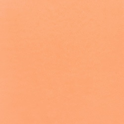 046S Peachy Melt ピーチメルト ★新色