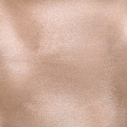 アディクション　ザ マグネット ネイルポリッシュ　“アンアースド ラスター“