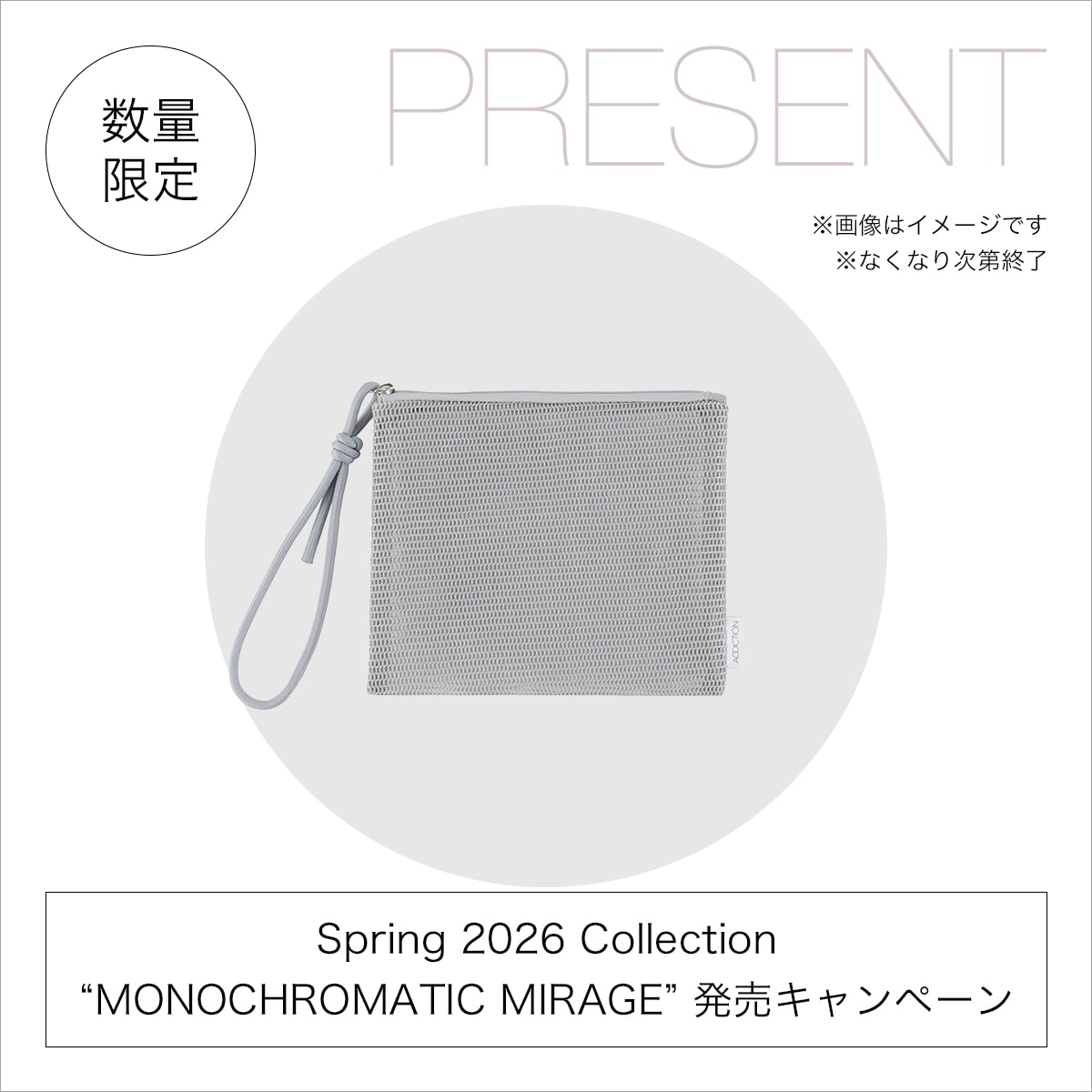 Spring発売キャンペーン